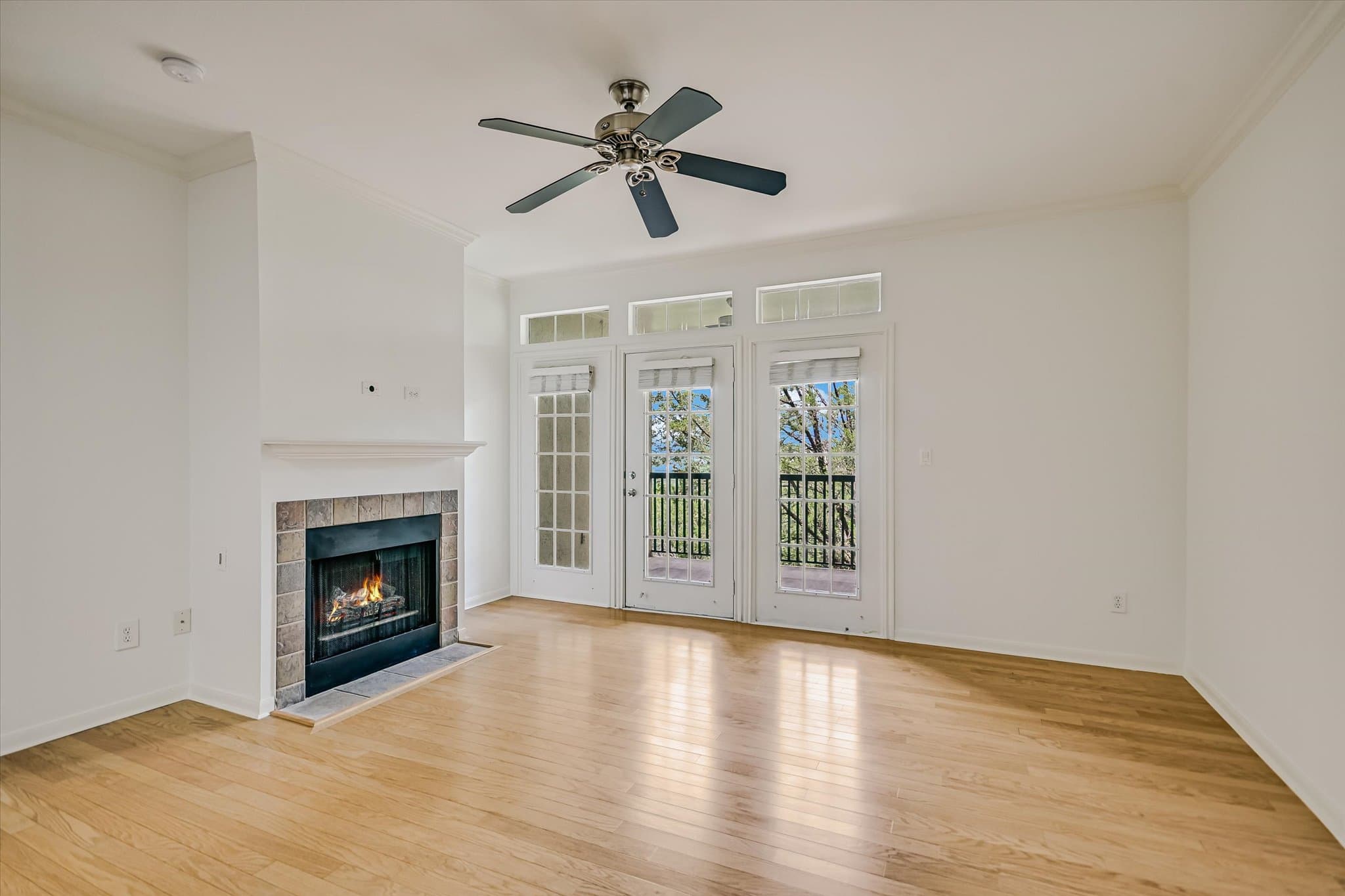 Gallery image 5