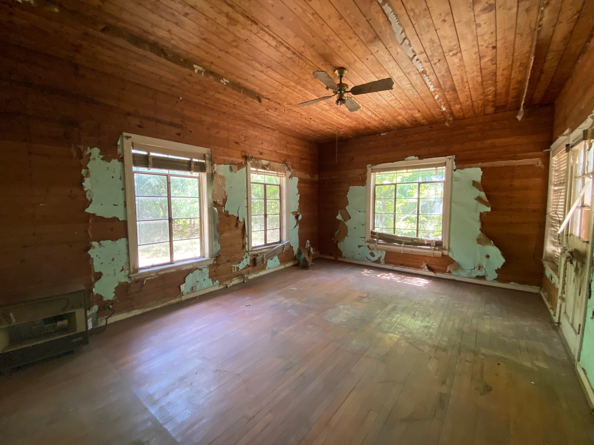 Gallery image 5