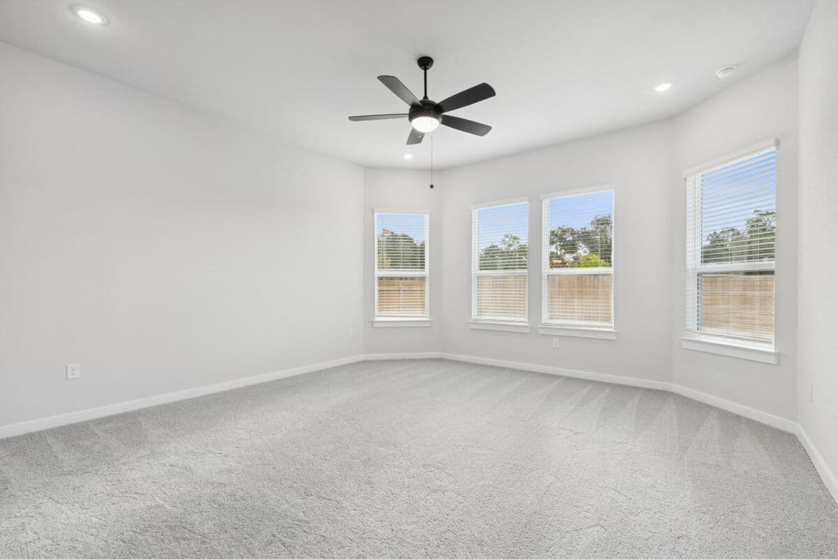 Gallery image 5