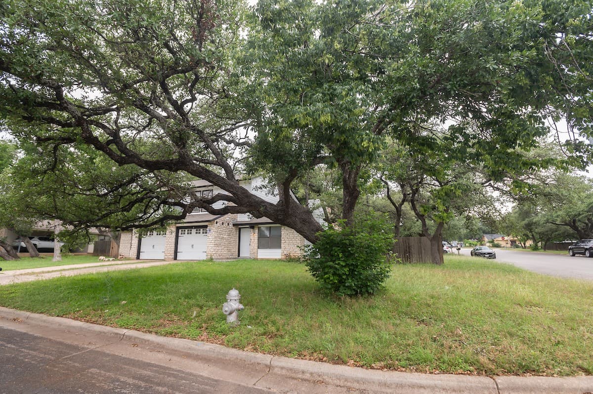 Gallery image 4