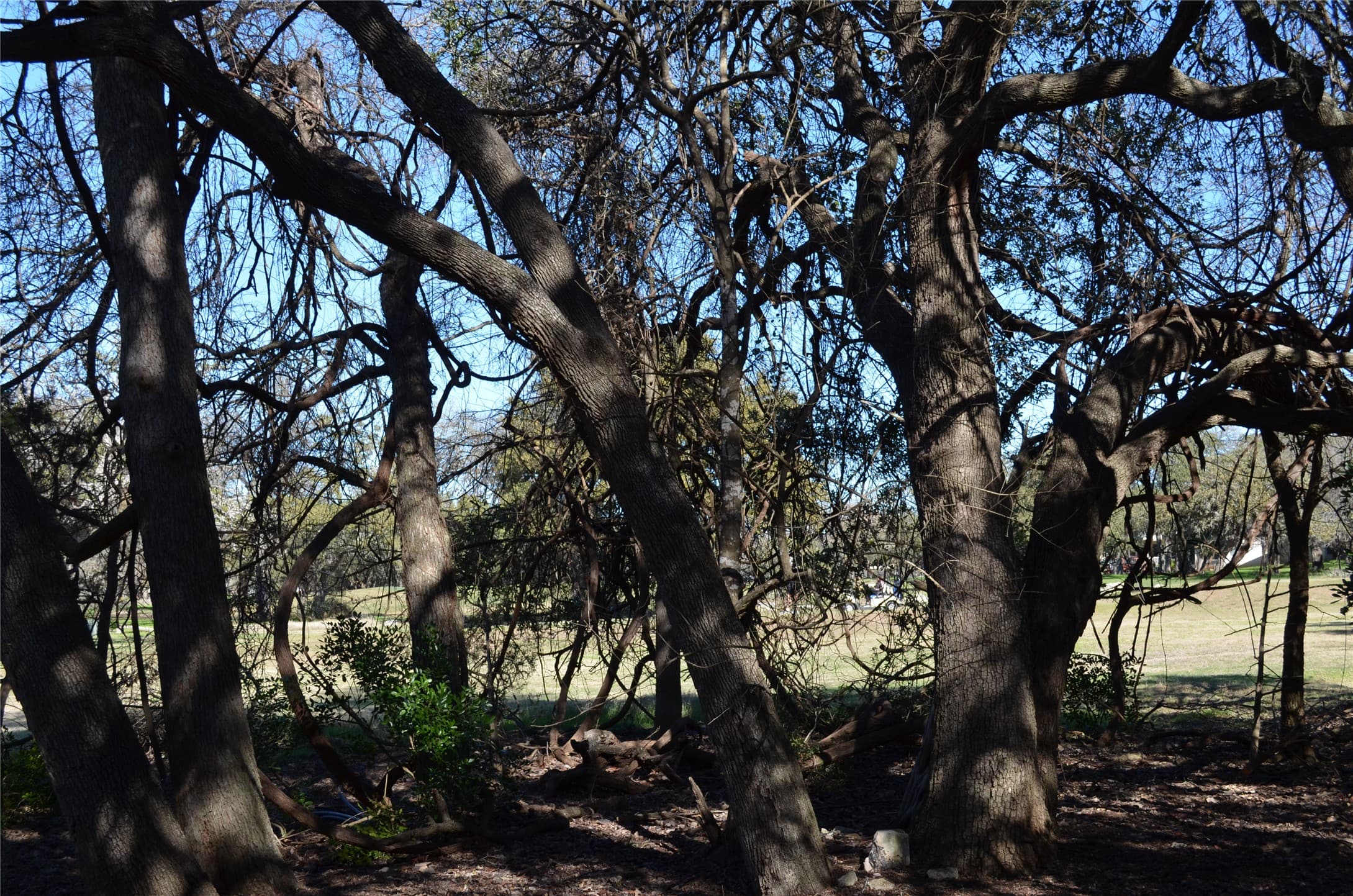 Gallery image 5
