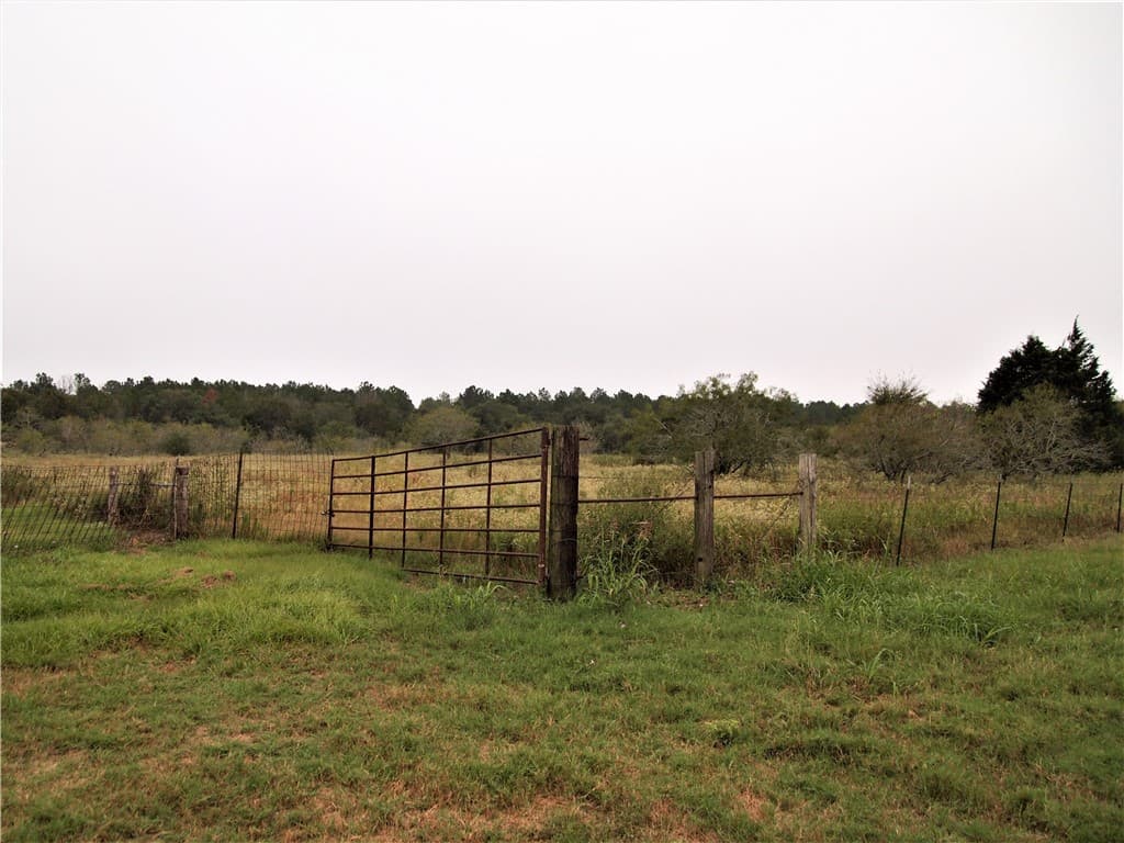 Gallery image 4