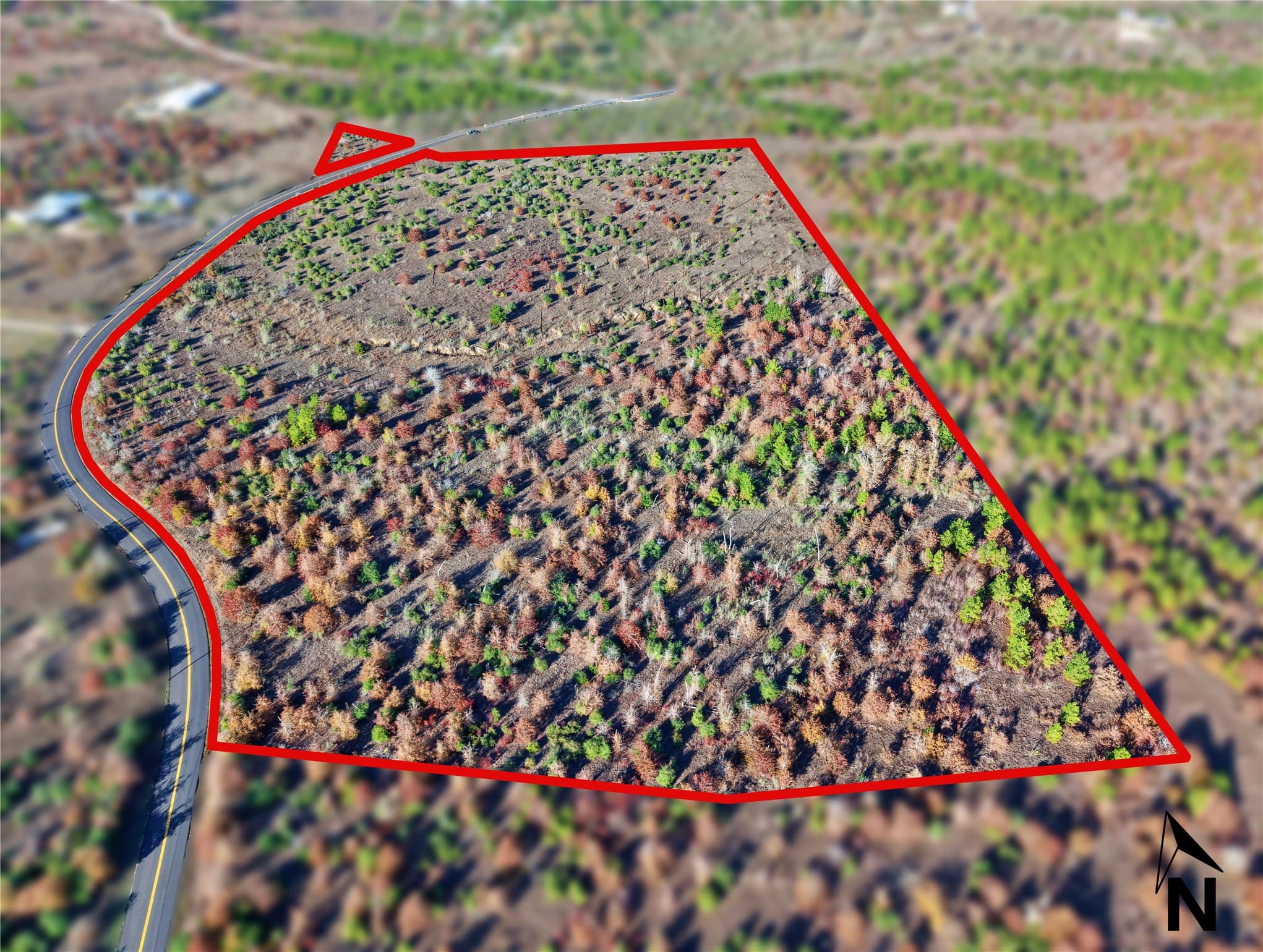 Main property image