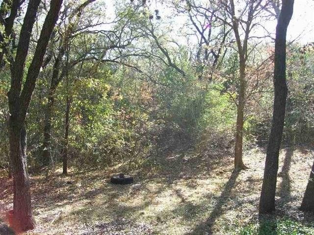Gallery image 5