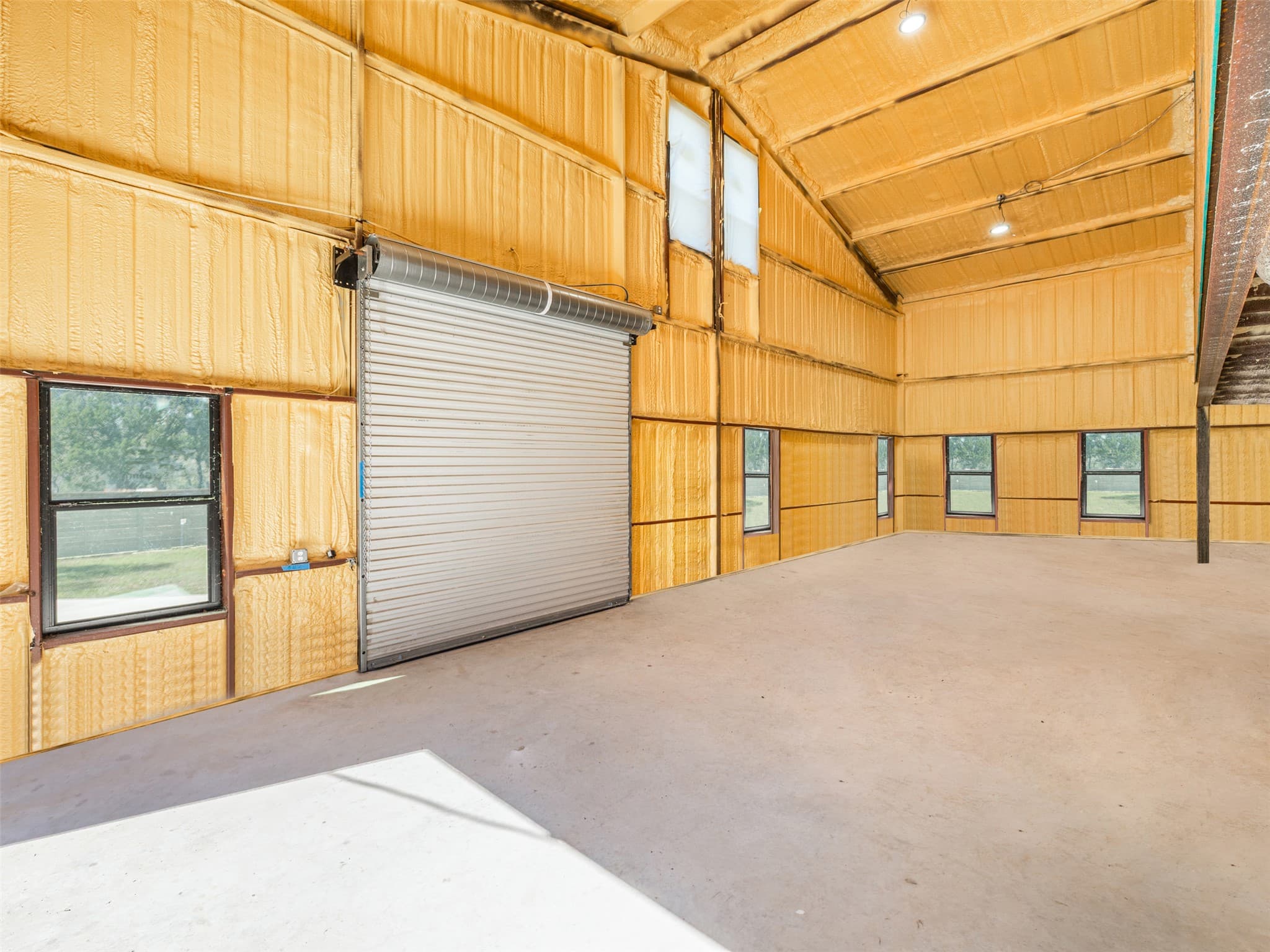 Gallery image 5