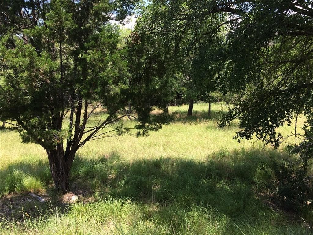 104 Lost Buck