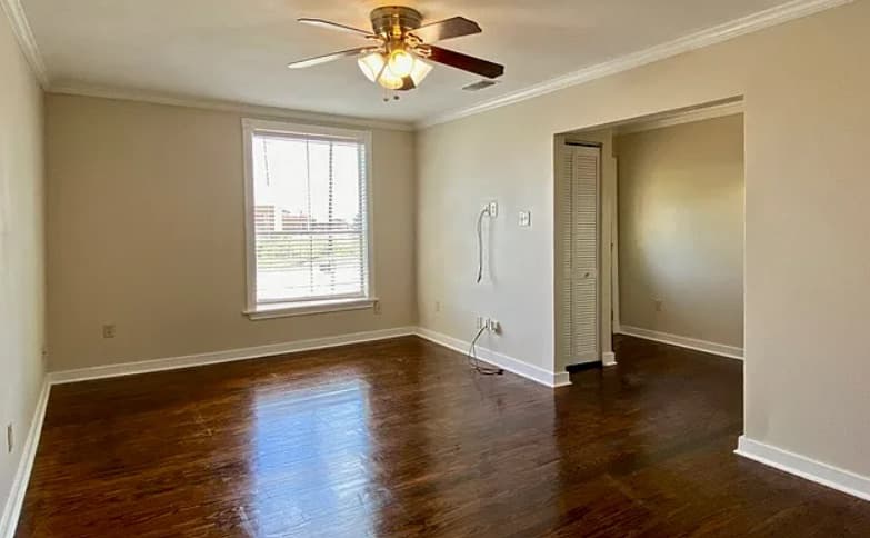 Gallery image 5