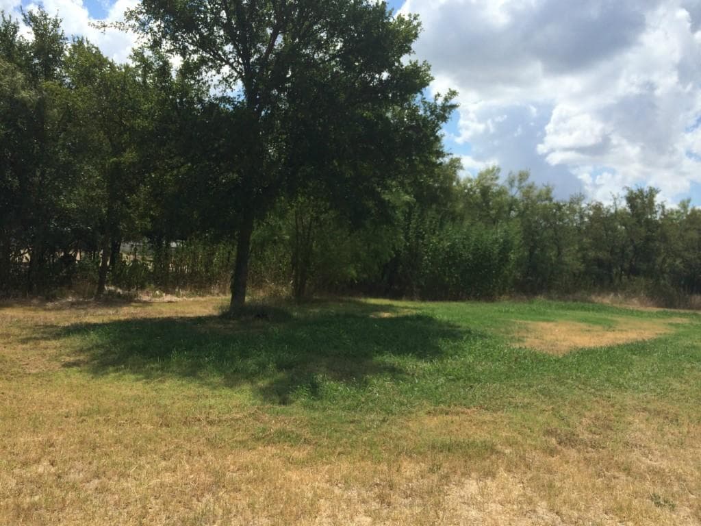 135 Hog Eye Rd