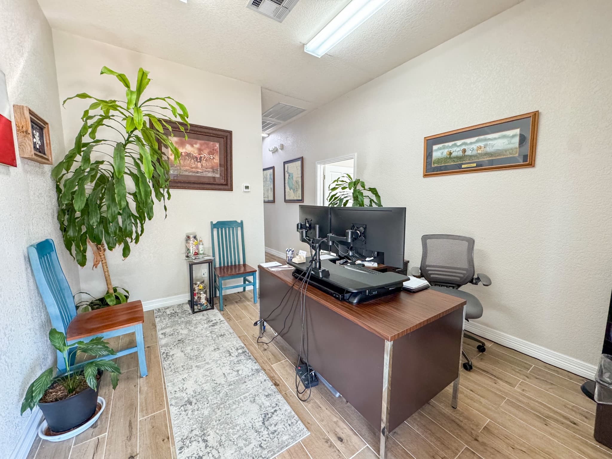 Gallery image 3