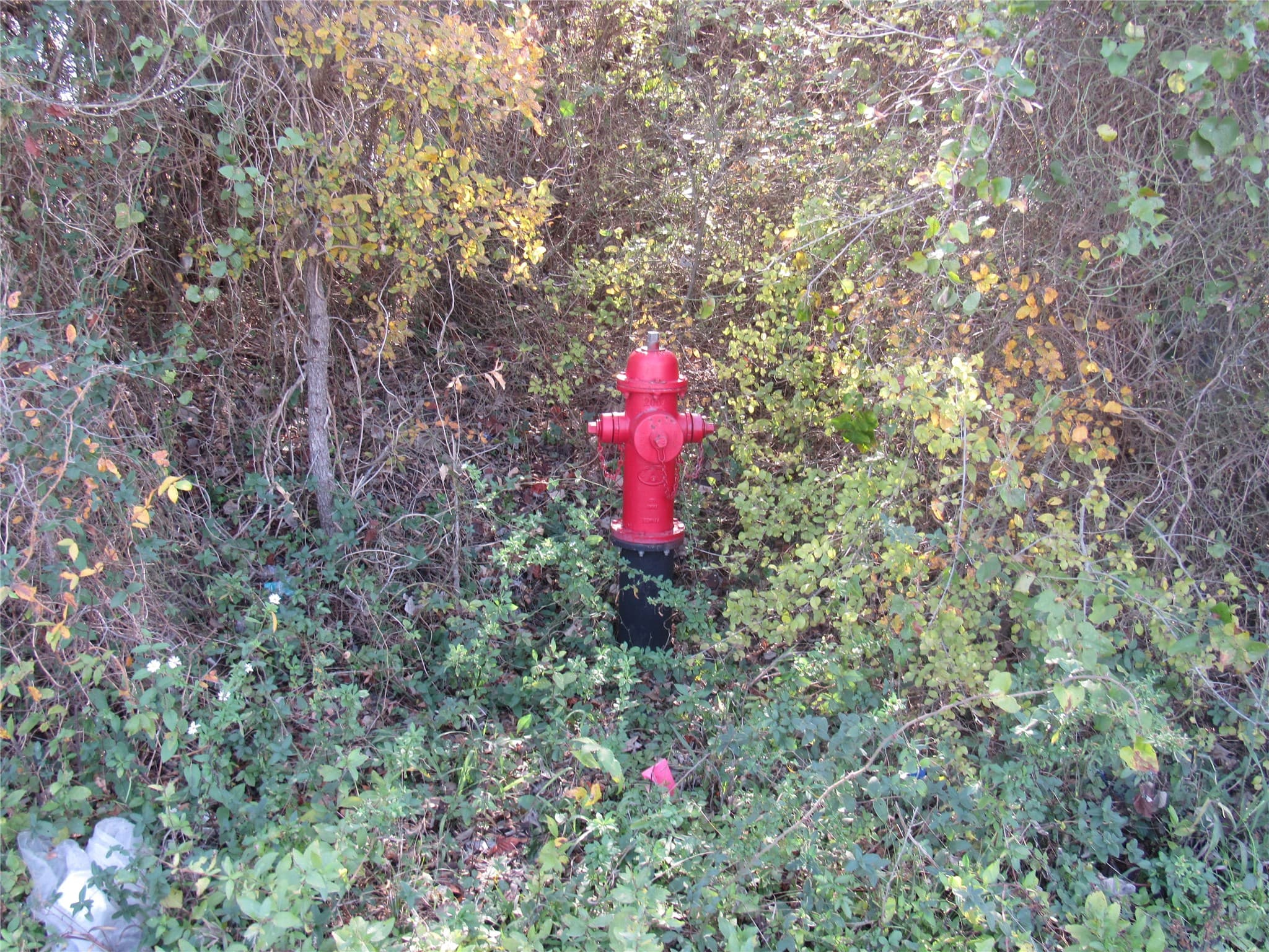 Gallery image 5