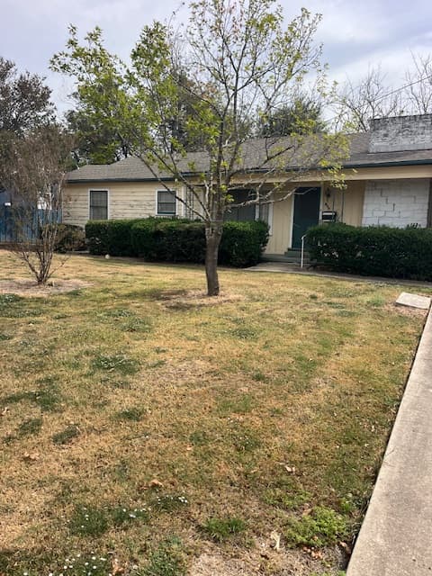204 Oscar St