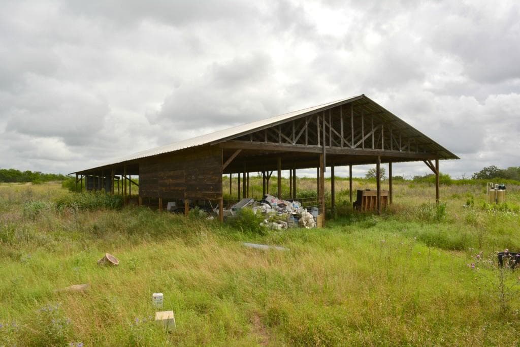 Gallery image 5