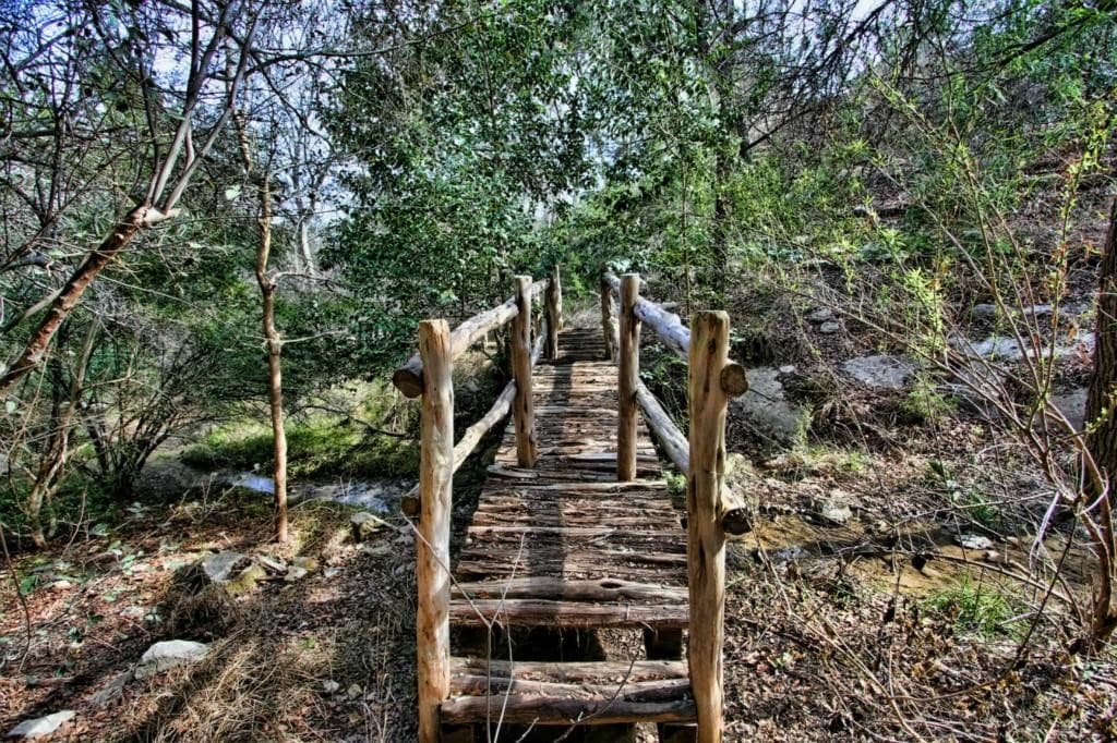 Gallery image 4