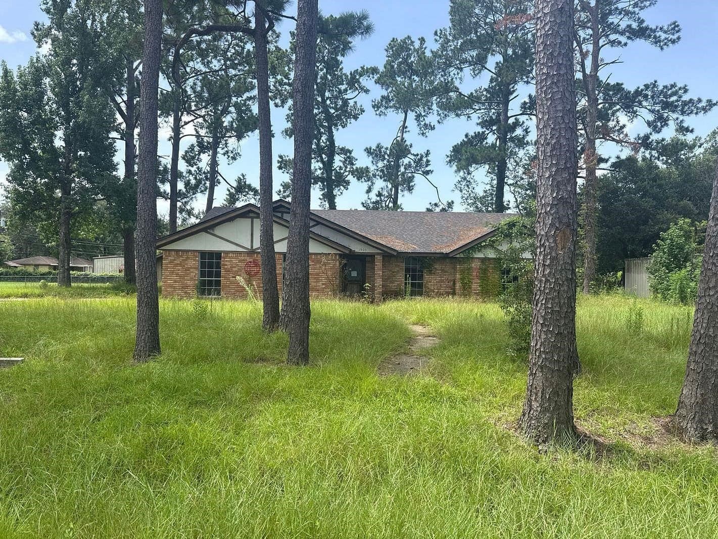 Gallery image 2