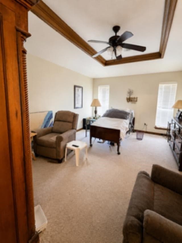 Gallery image 5