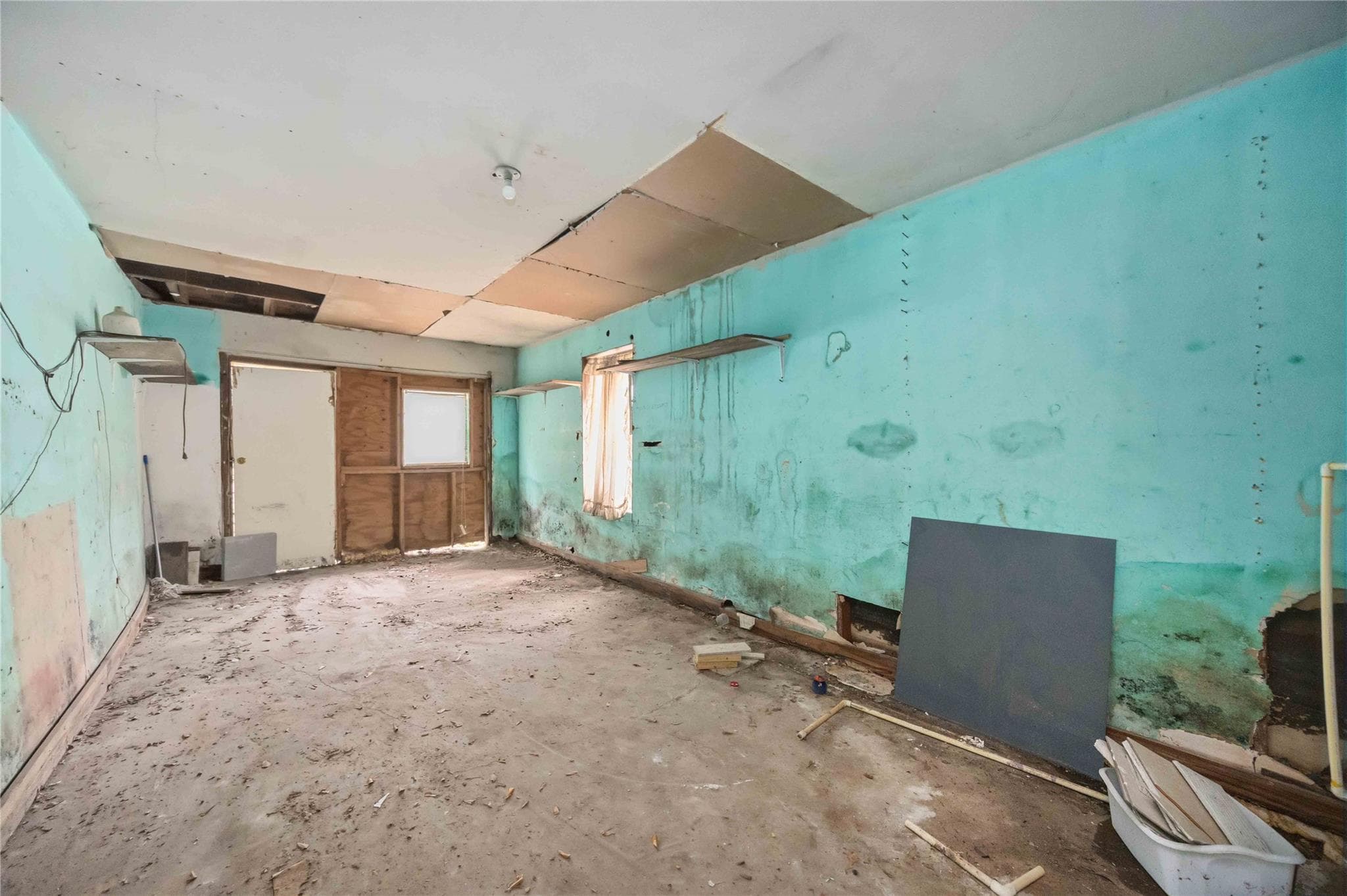 Gallery image 5