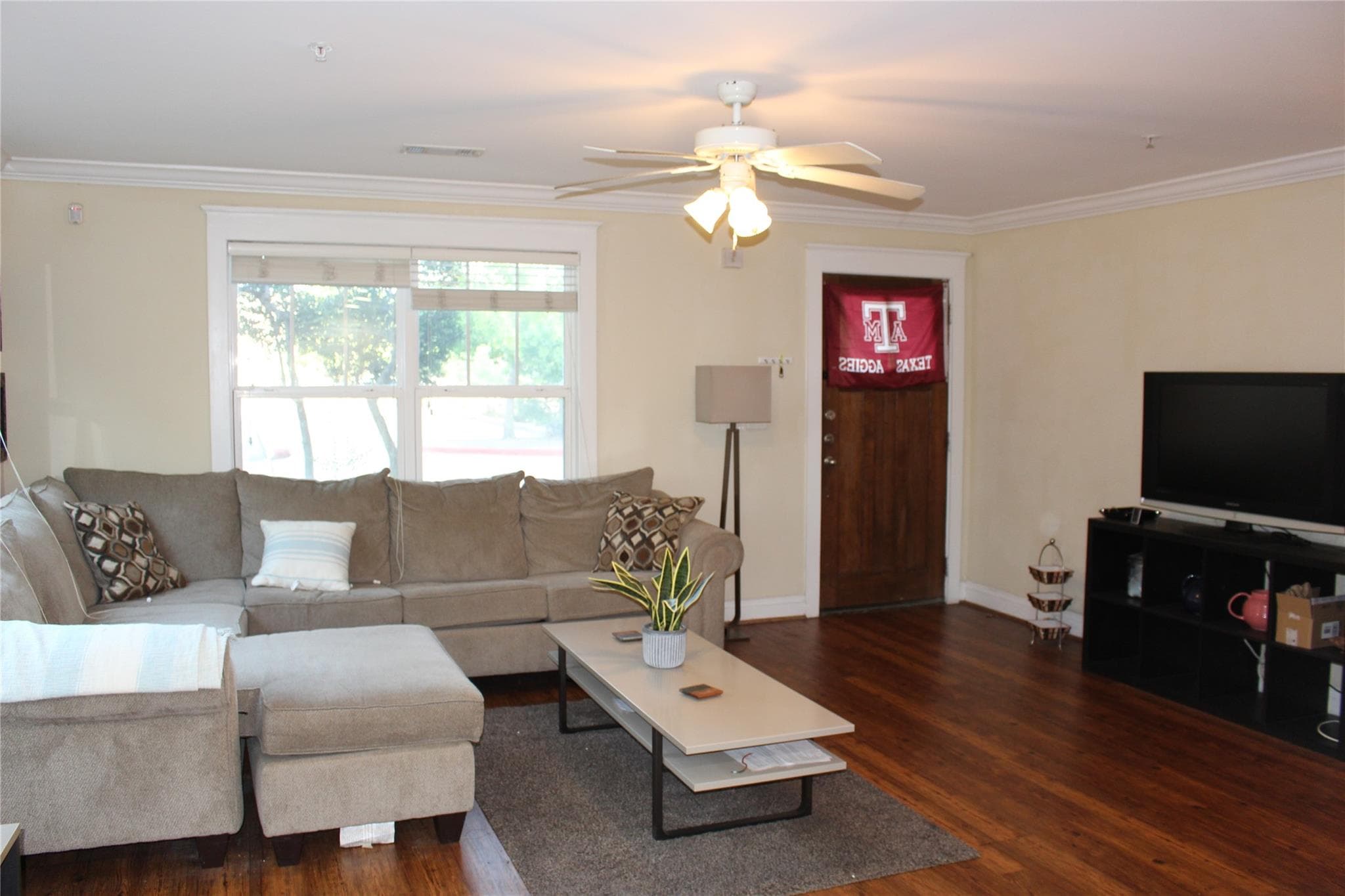 Gallery image 5