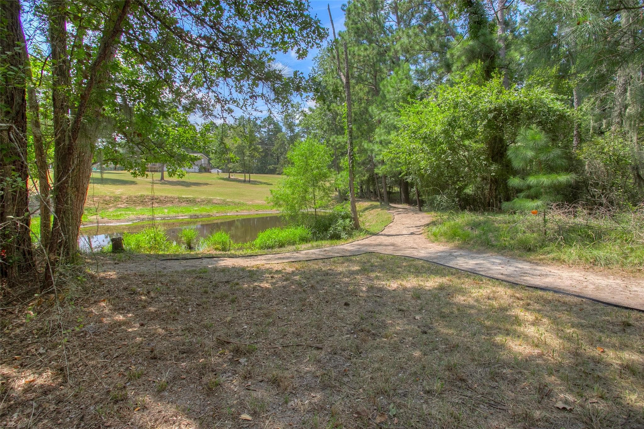 81 Fm 3454 Rd