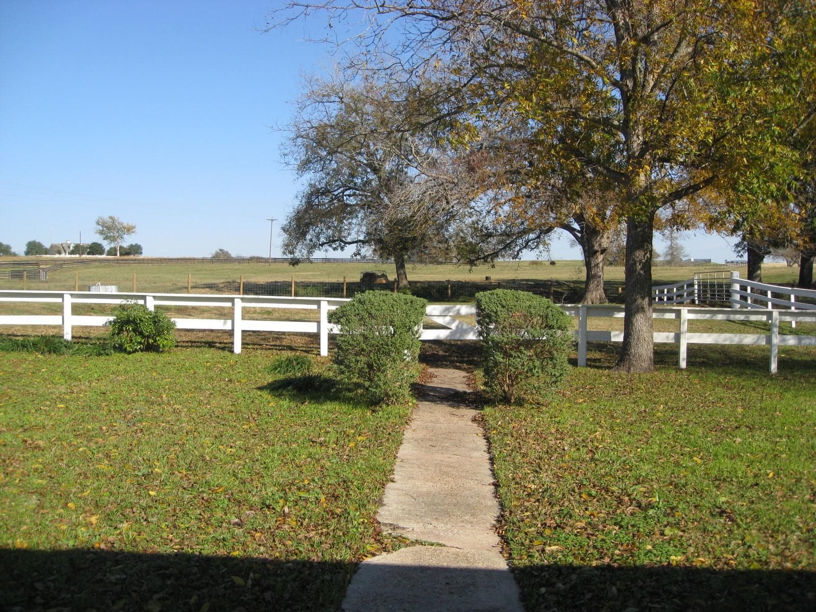 Gallery image 3