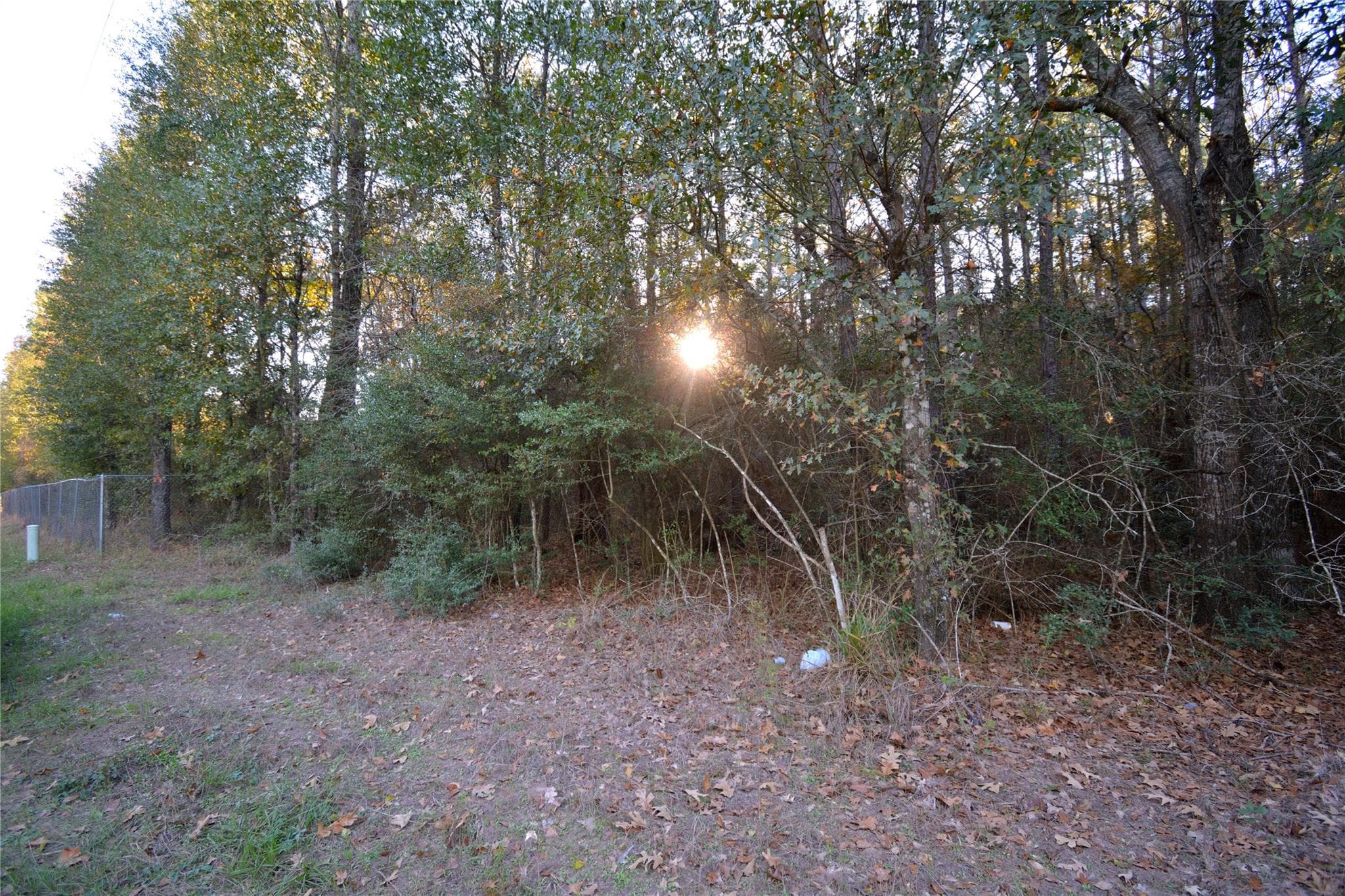 Gallery image 4