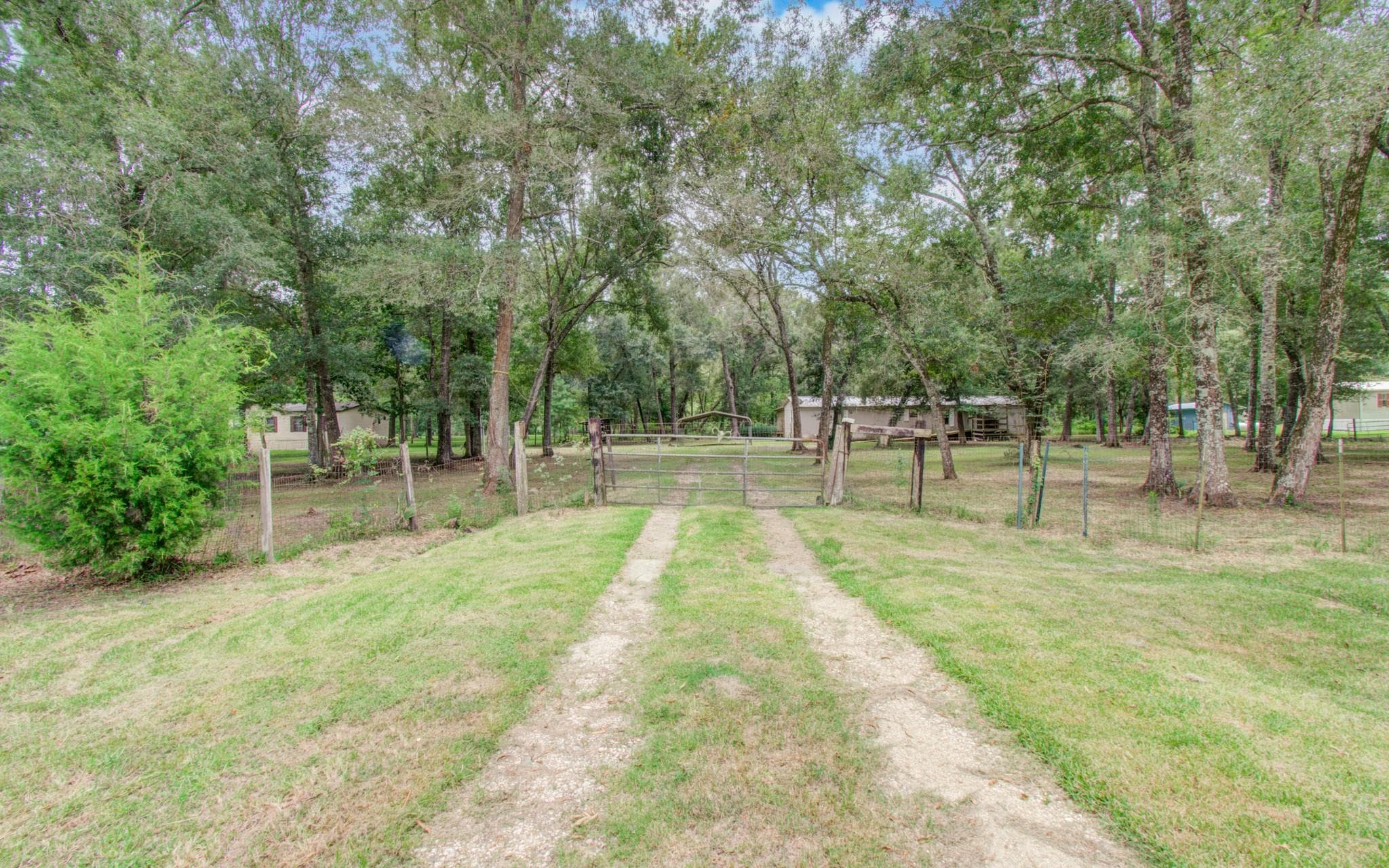 447 County Road 410