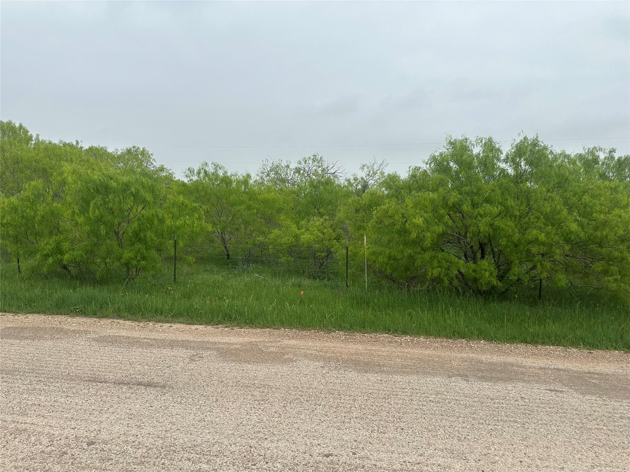 1503 County Road 428