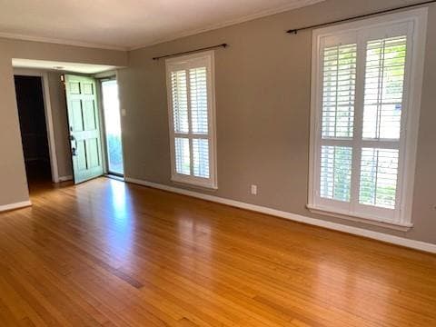 Gallery image 4