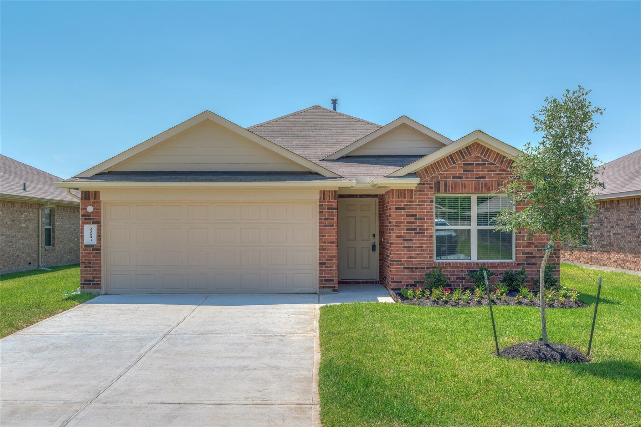 23603 Umbrella Pine Dr