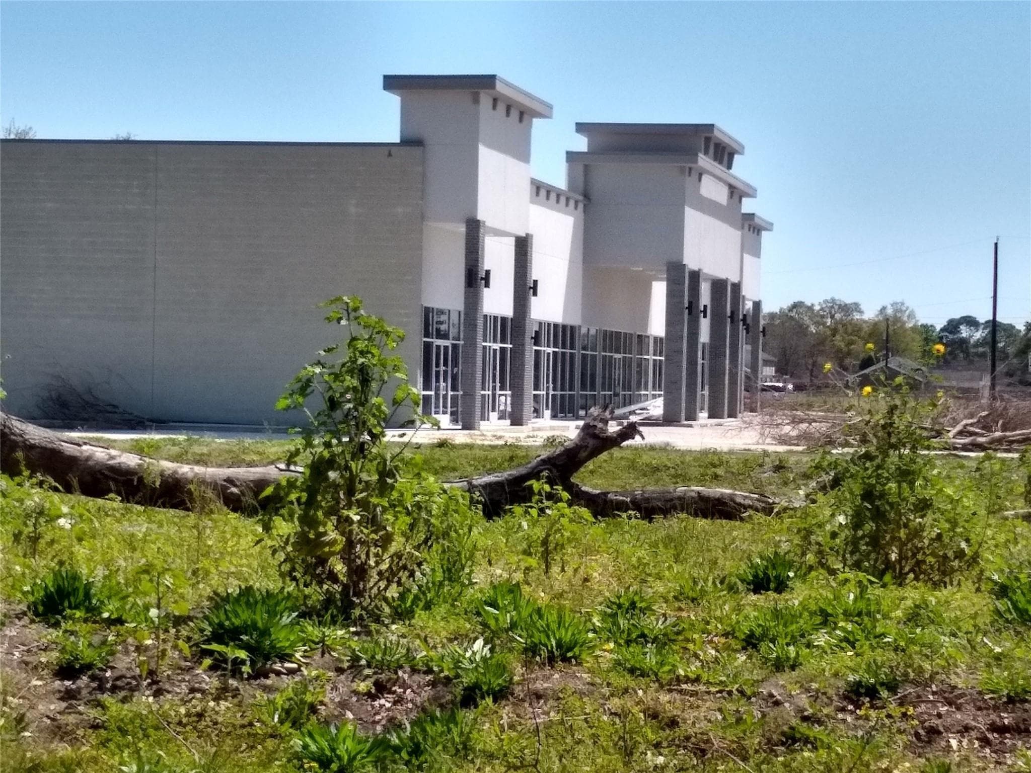 Gallery image 4