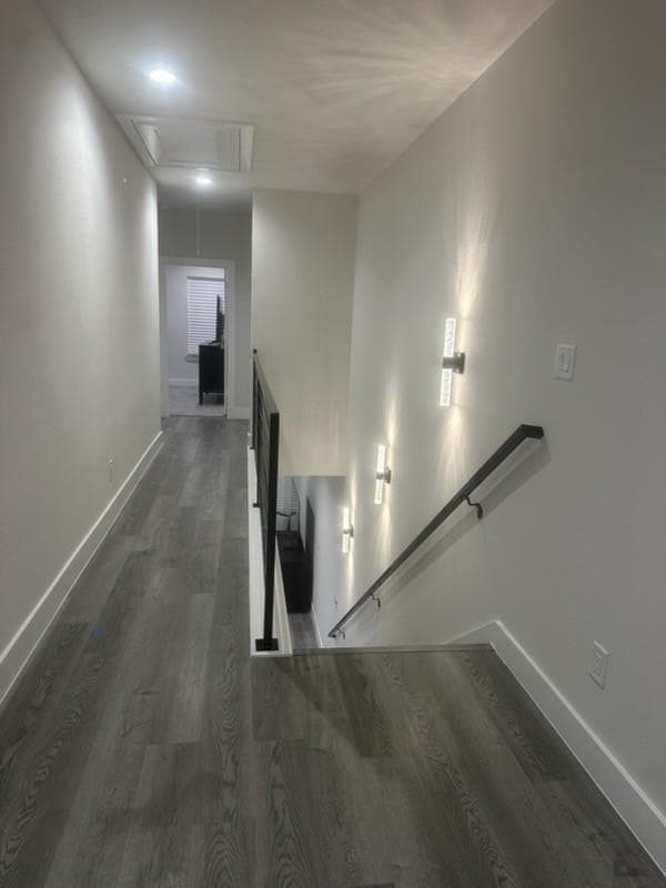 Gallery image 5