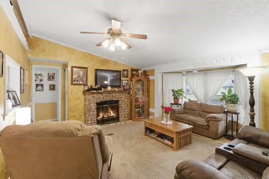 Gallery image 5