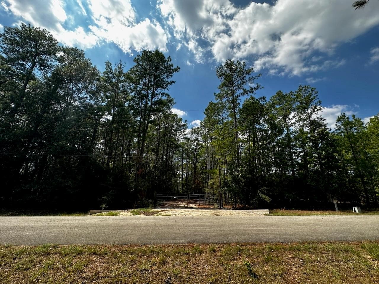 30903 Carrington Dr