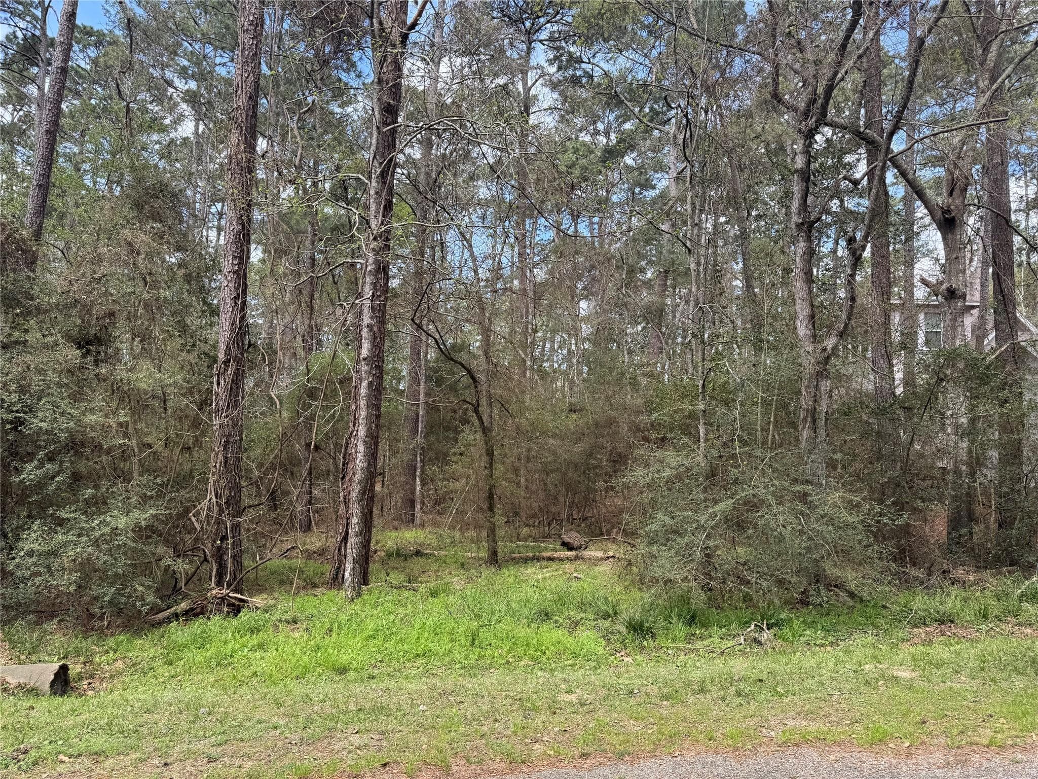 54 Green Tree Dr