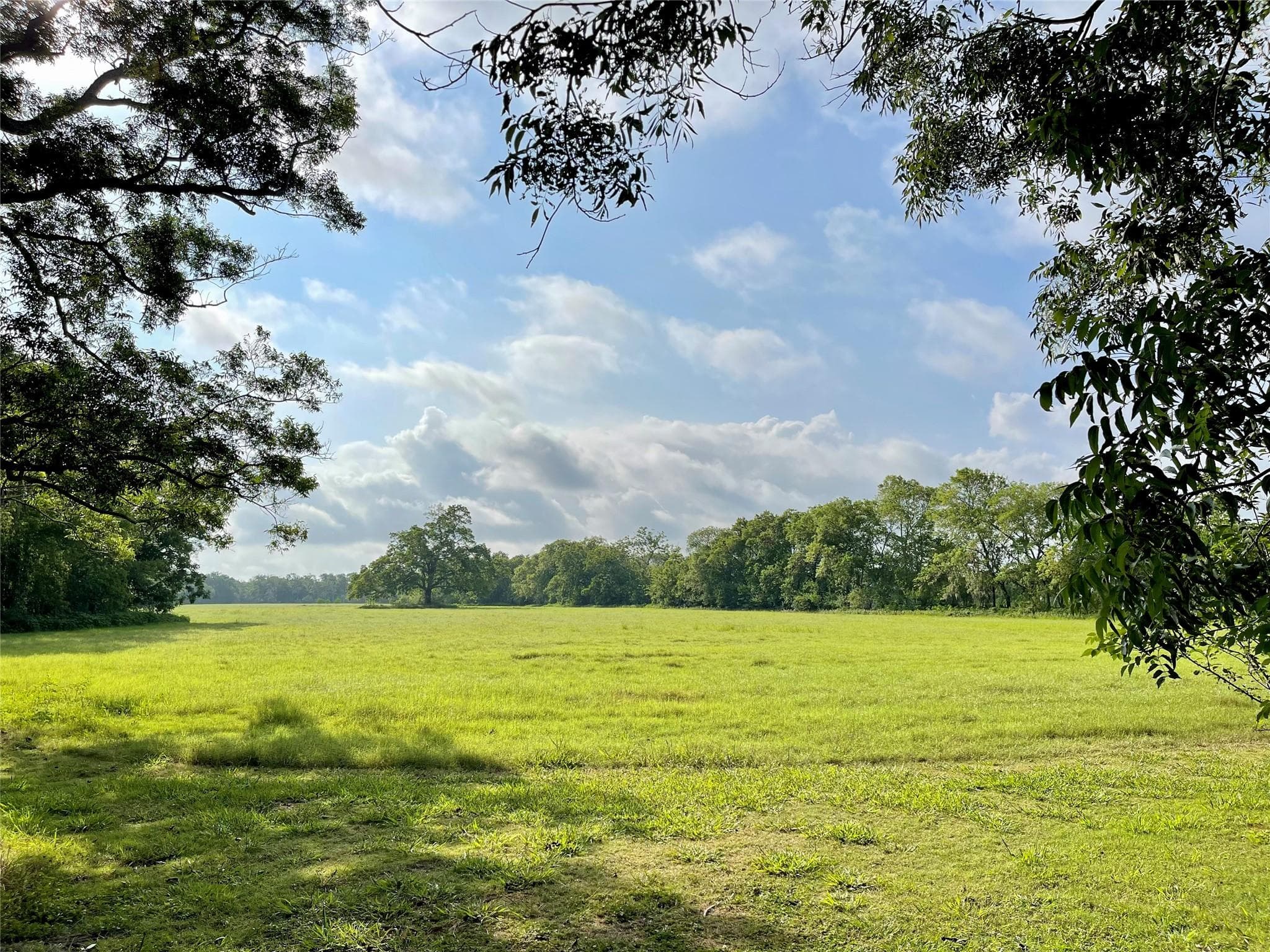 3026 County Road 34
