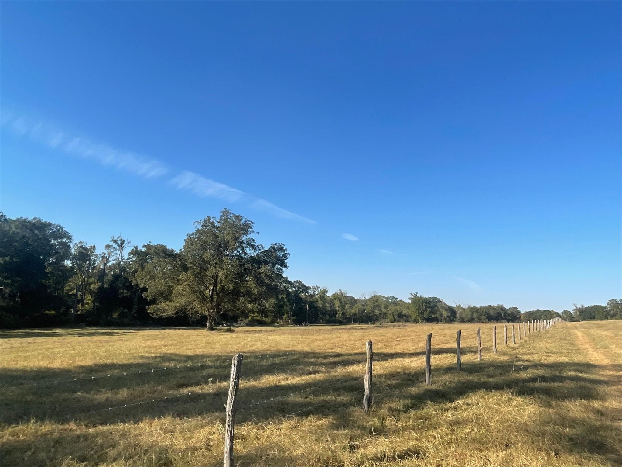 6014 County Road 333