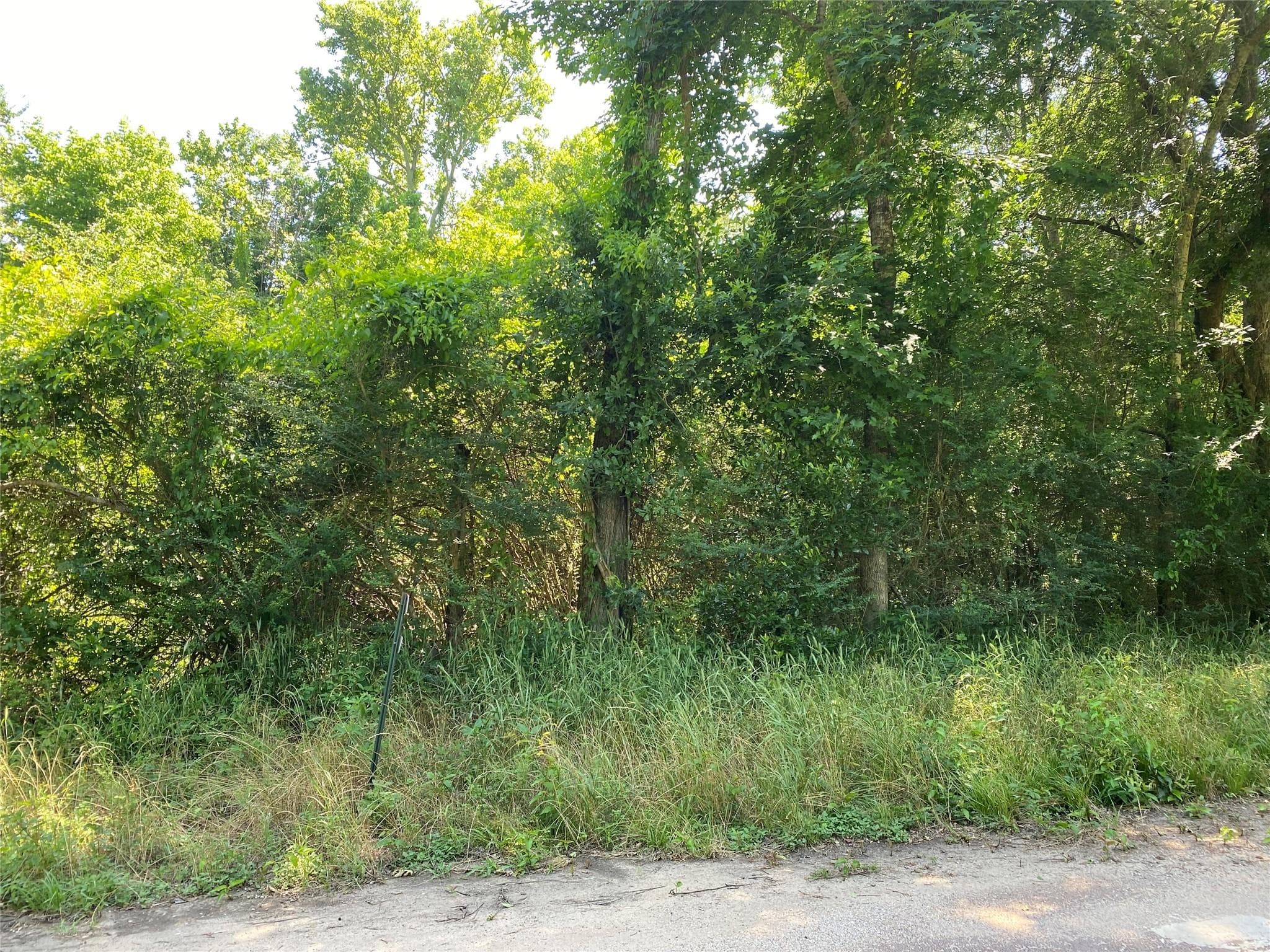 Gallery image 3