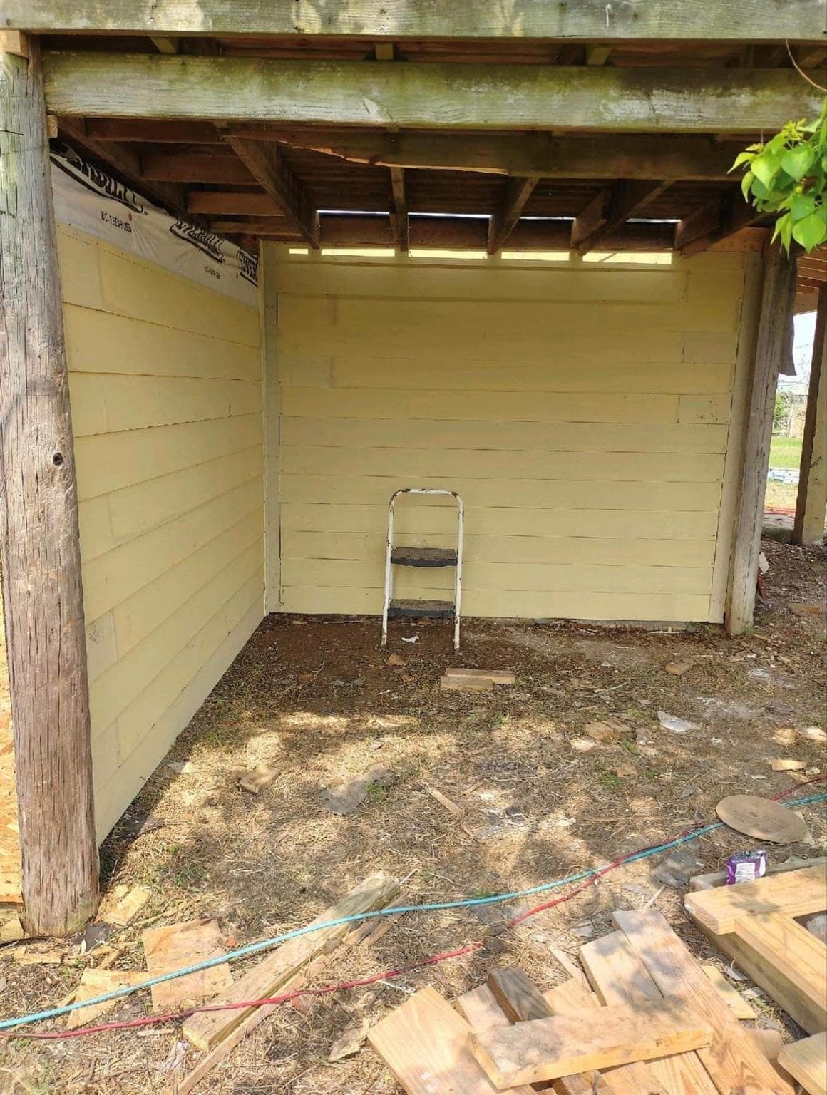Gallery image 5