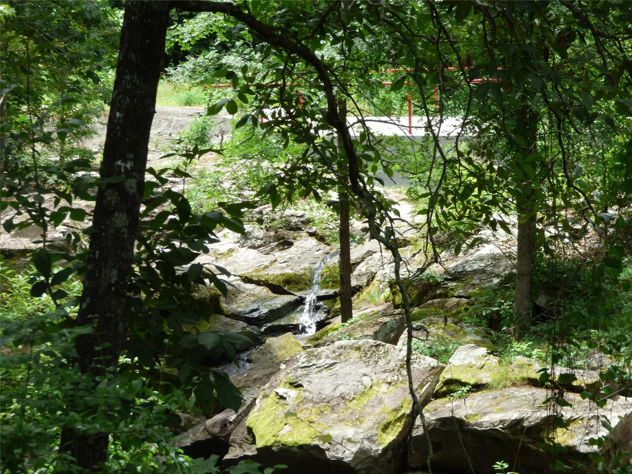 Gallery image 3