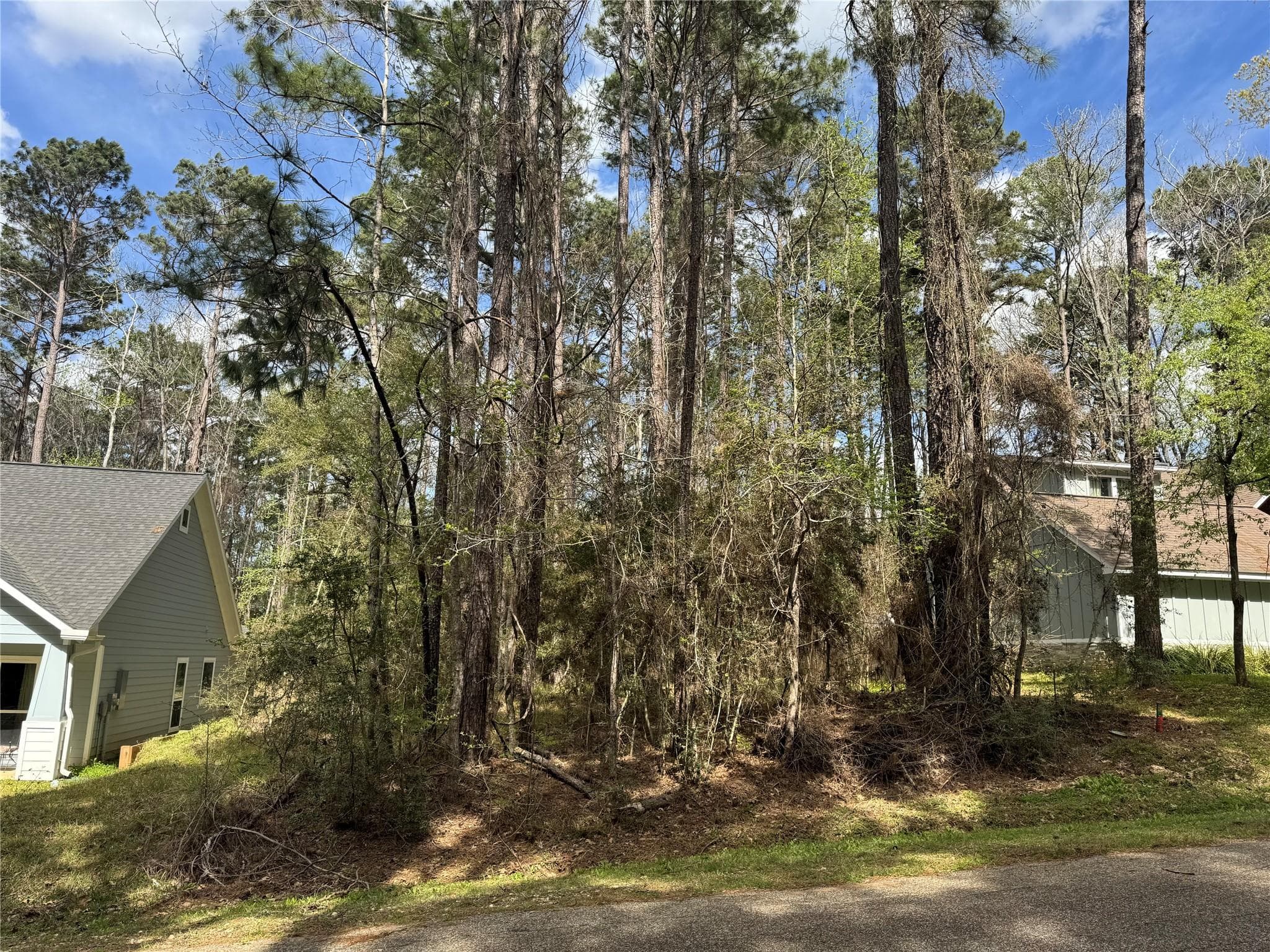 30 Green Tree Dr