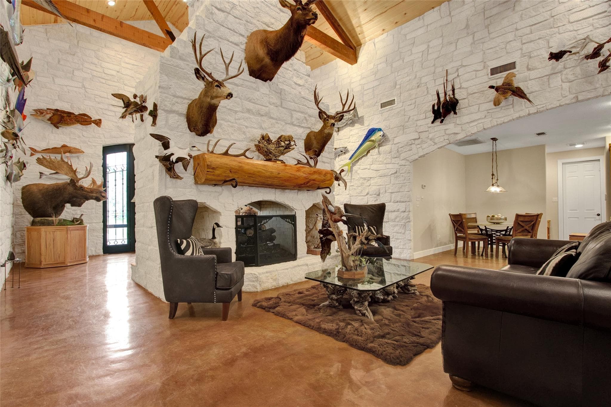 Gallery image 5