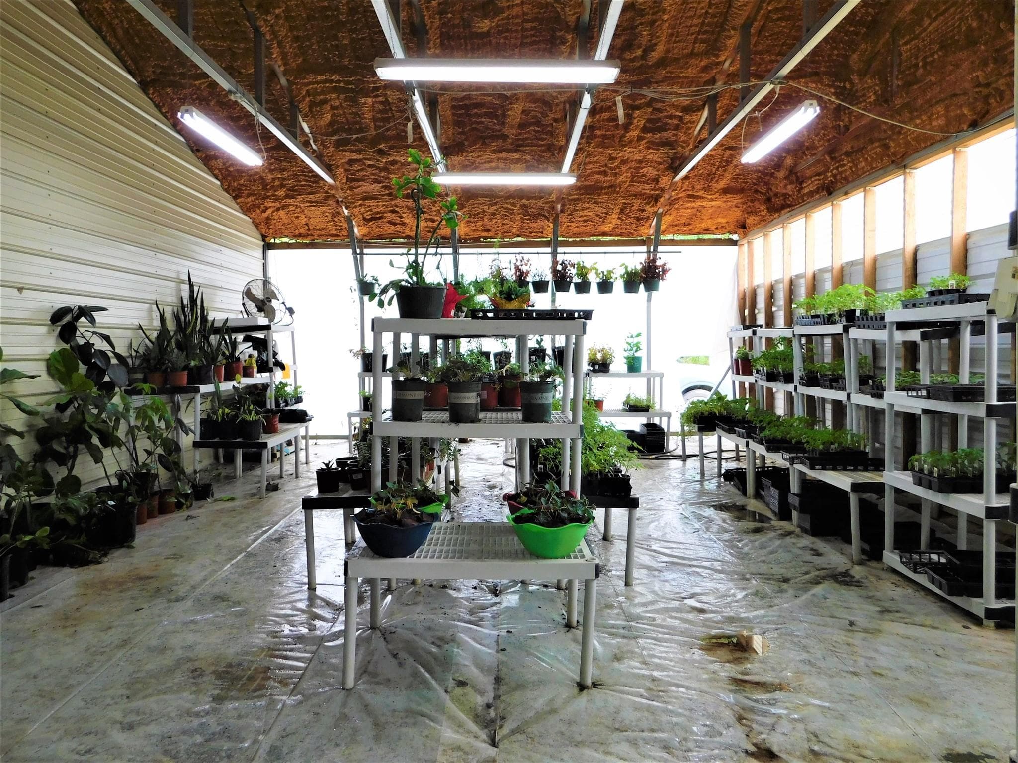 Gallery image 3