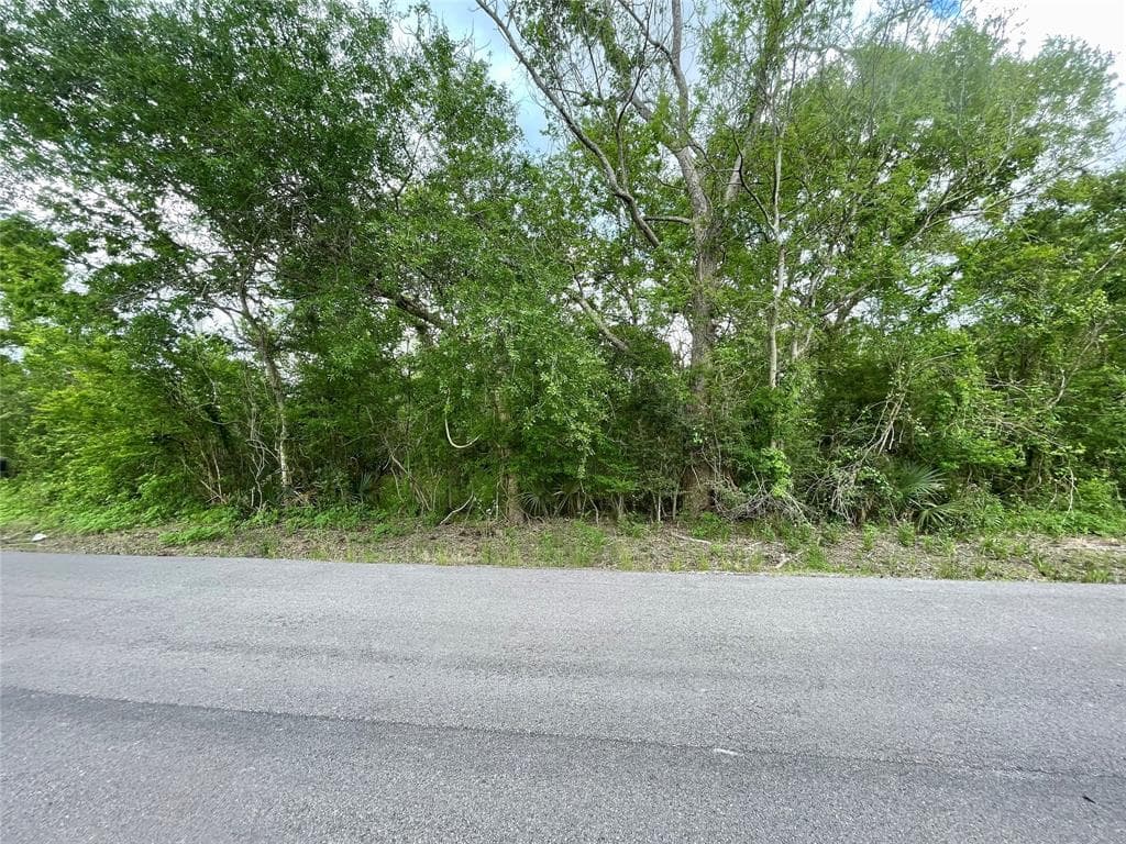 County Road 319