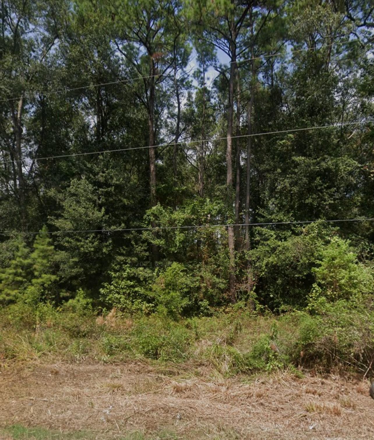 25509 Northampton