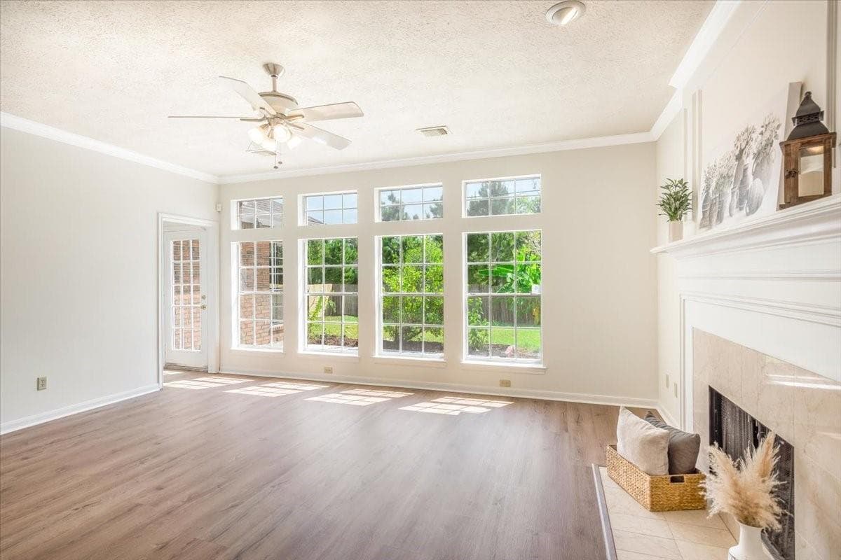 Gallery image 5