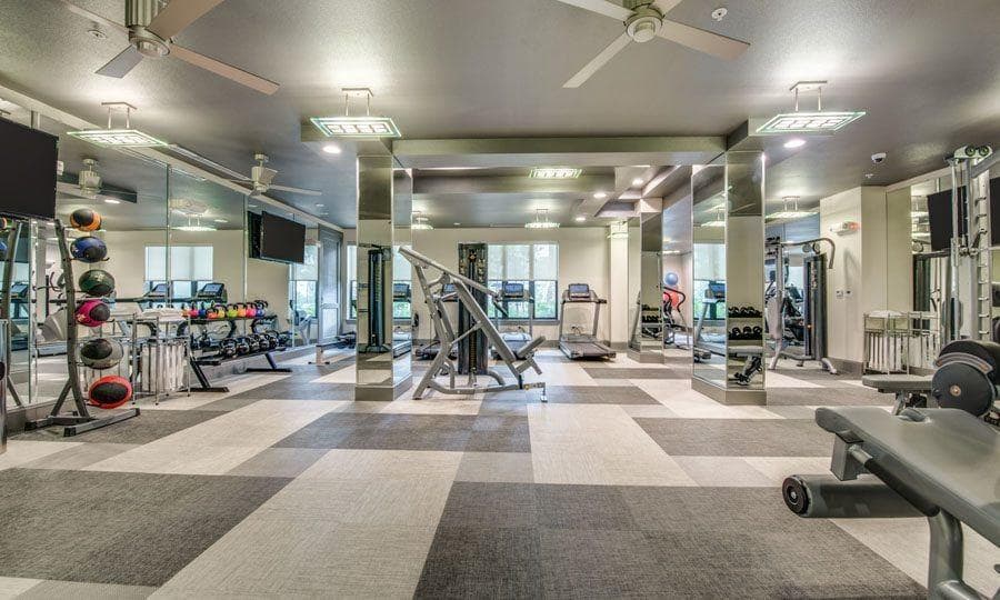 Gallery image 4