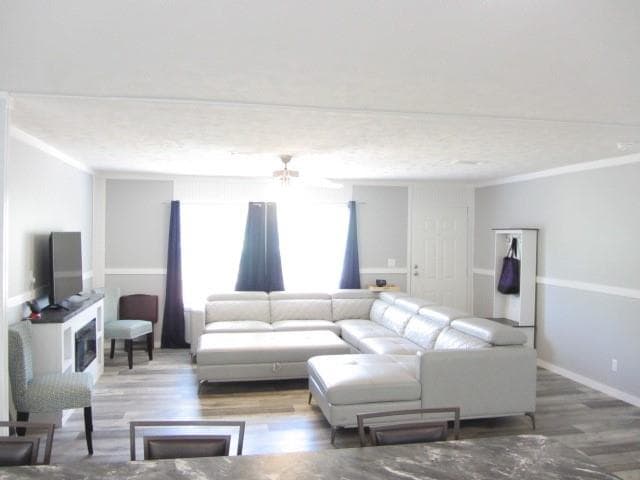 Gallery image 2