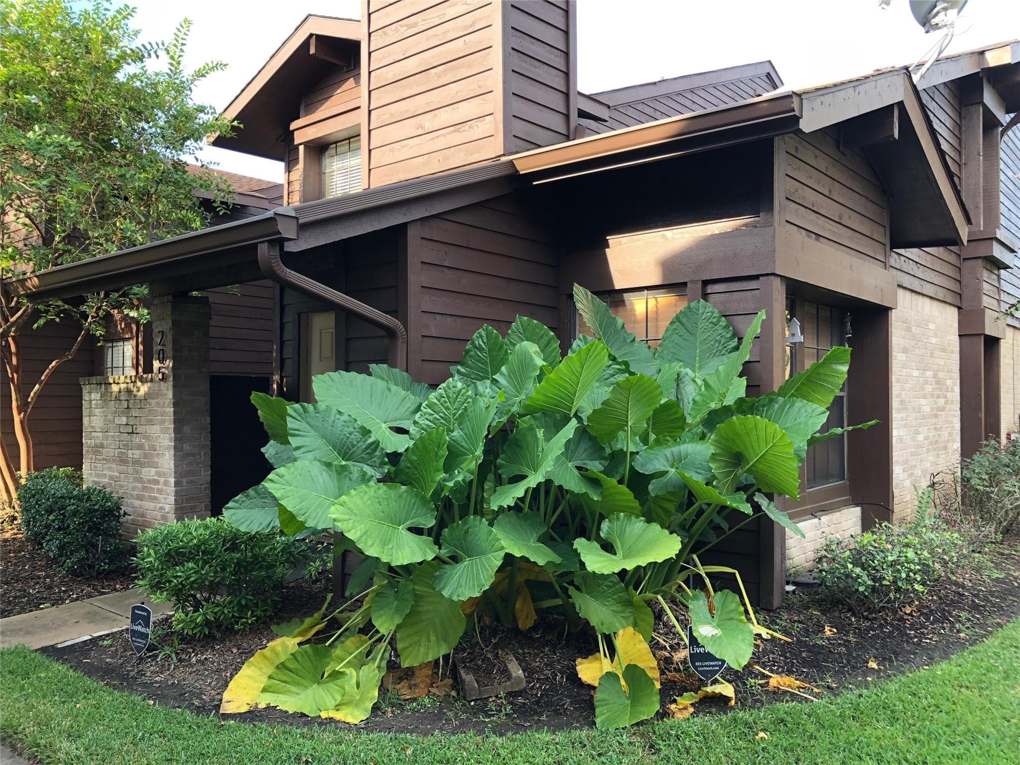 2611 Grants Lake Blvd Apt 205