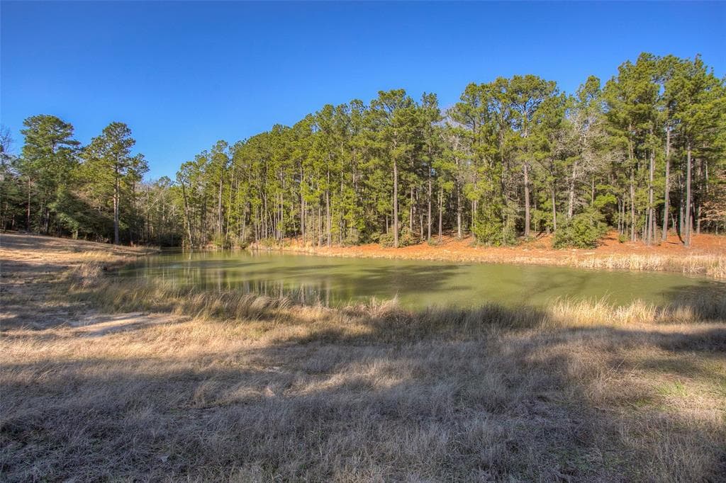 3055 County Road 274