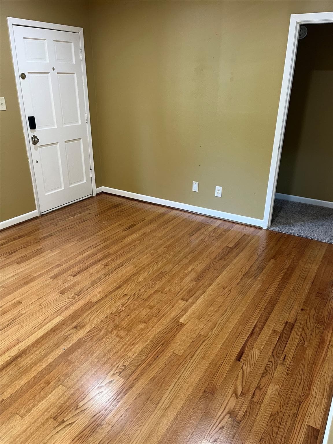 Gallery image 4