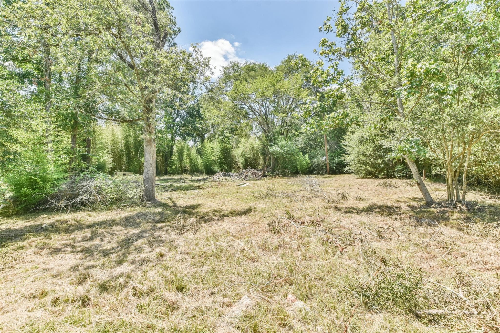 15179 Dogwood Ln